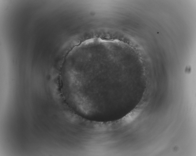 X0000102400192200808151951