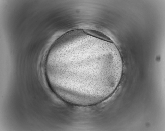 X0000102400193200808151950