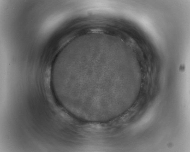 X0000102400194200808151950