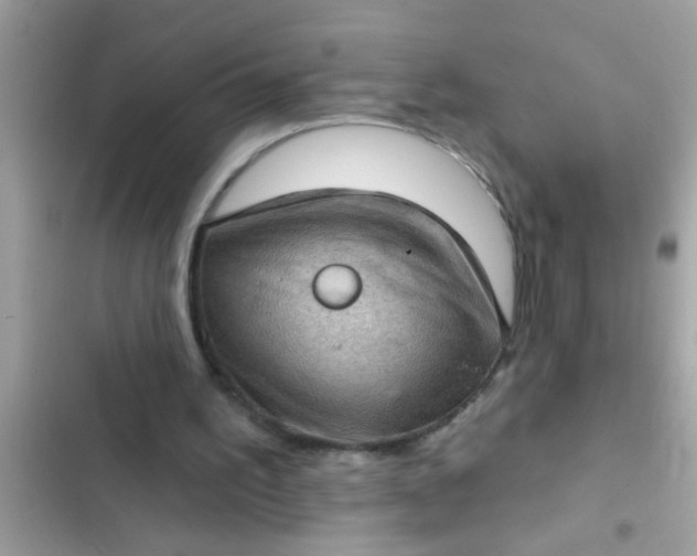 X0000102400195200808151950