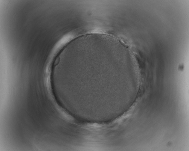 X0000102400197200808151950