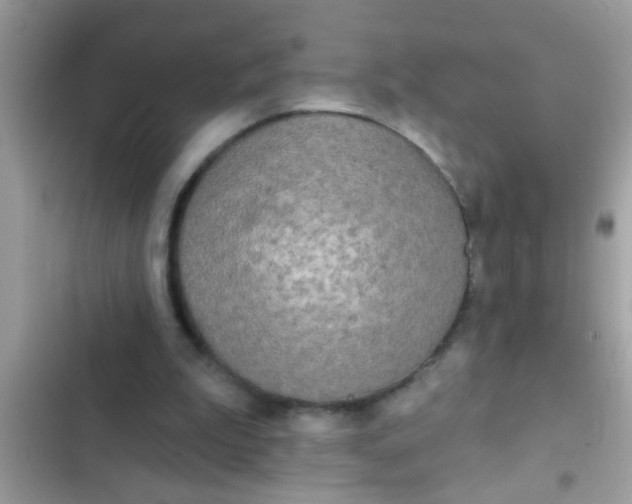 X0000102400199200808151950