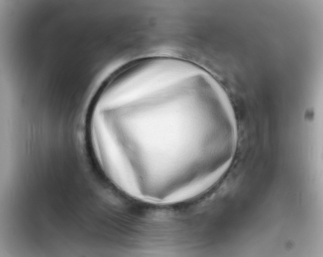 X0000102400200200808151950