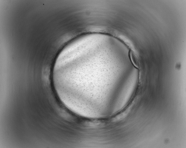 X0000102400201200808151950