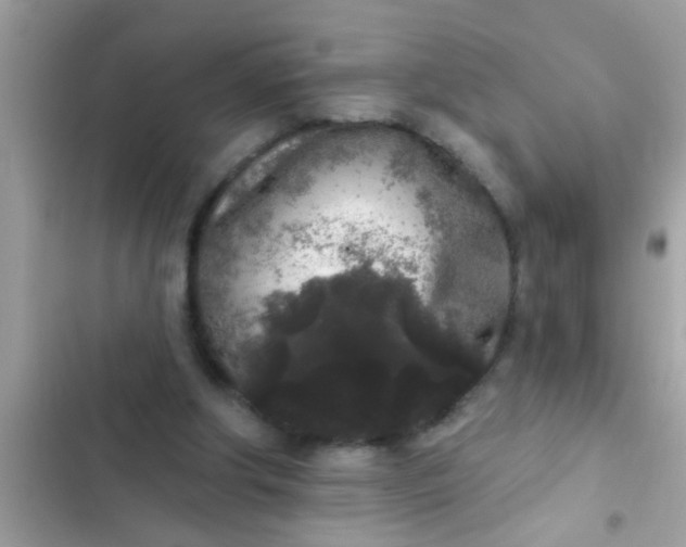 X0000102400202200808151950