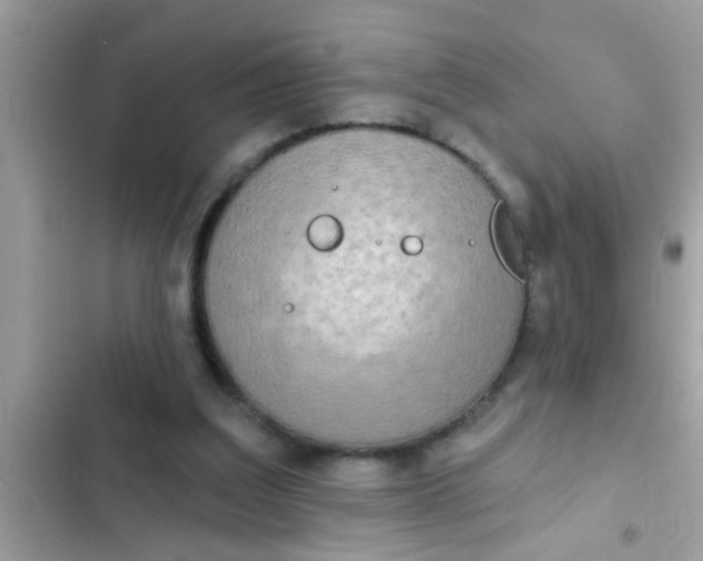 X0000102400203200808151950