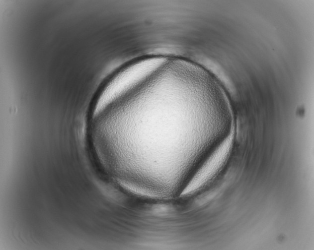 X0000102400204200808151950