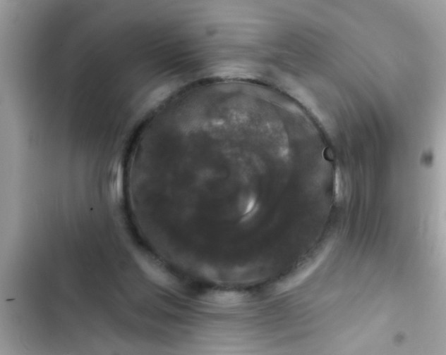 X0000102400205200808151950