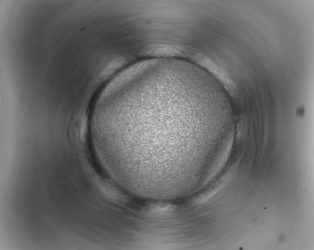 X0000102400206200808151950