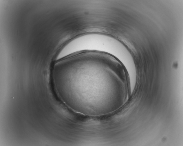 X0000102400207200808151950