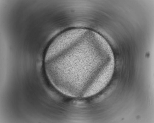 X0000102400208200808151950