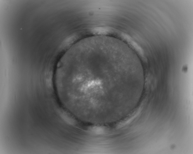 X0000102400209200808151950