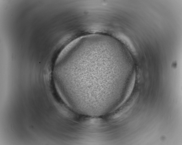 X0000102400210200808151950