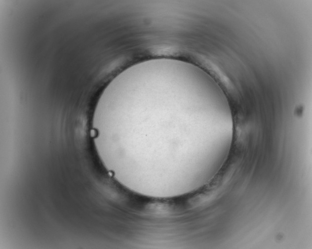 X0000102400211200808151950