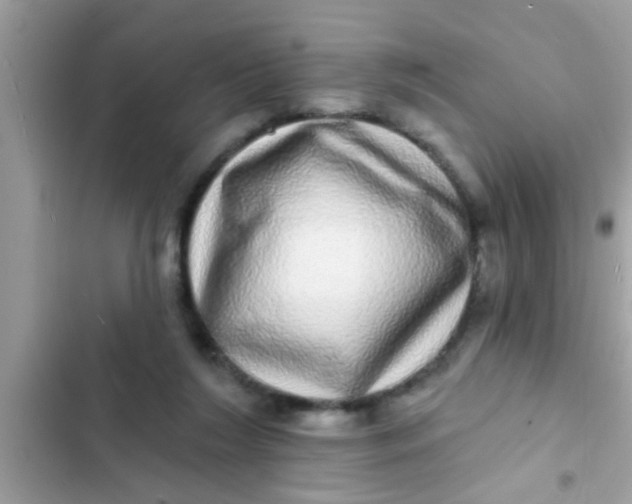 X0000102400212200808151950