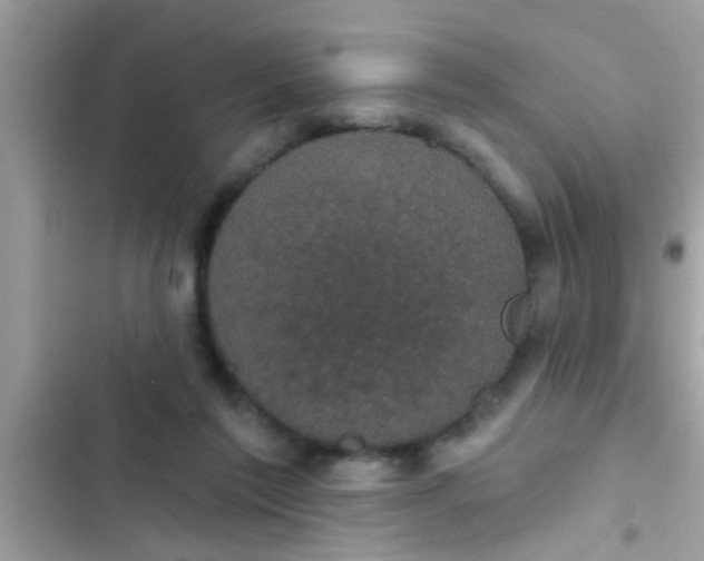 X0000102400213200808151950