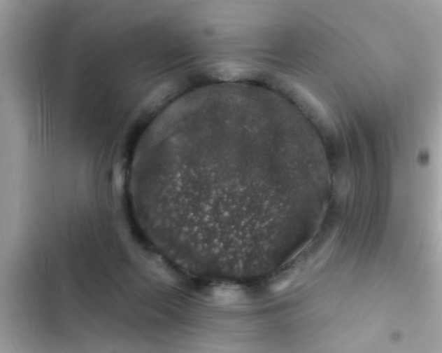 X0000102400214200808151950