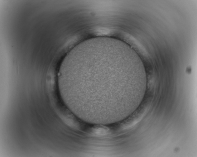 X0000102400215200808151950