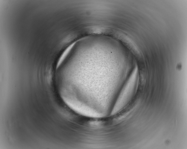 X0000102400216200808151950