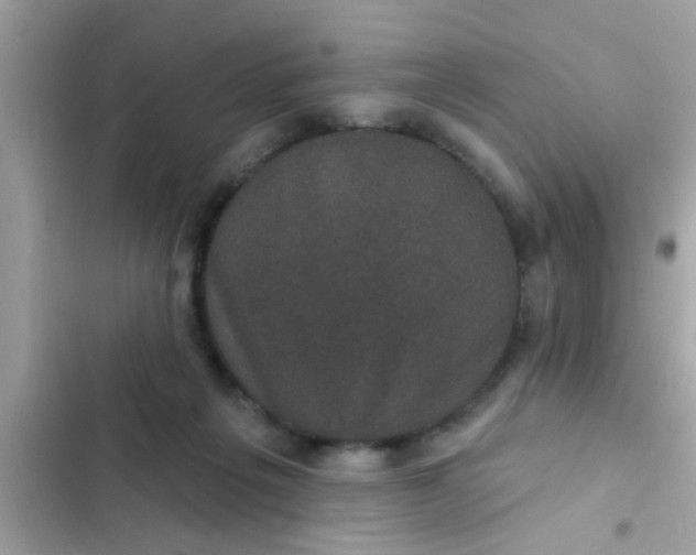 X0000102400217200808151950