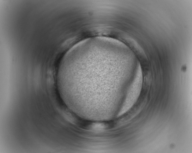 X0000102400218200808151950