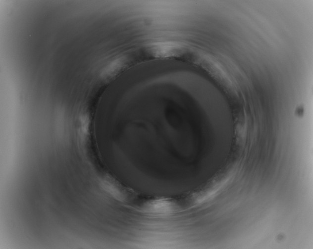 X0000102400219200808151950