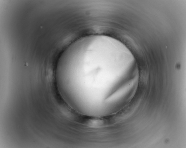 X0000102400220200808151950