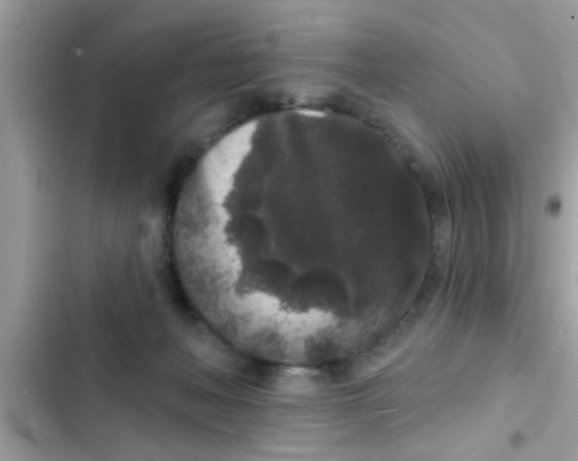 X0000102400222200808151950