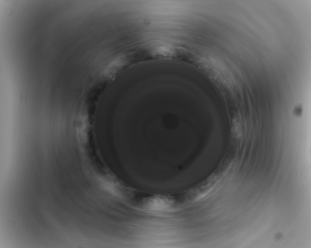 X0000102400223200808151950