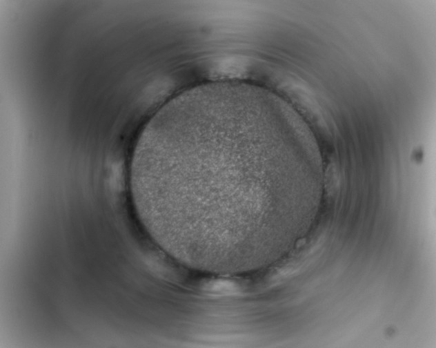 X0000102400224200808151950