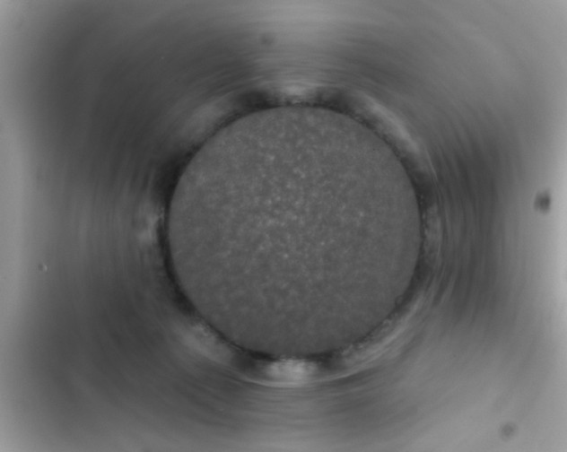 X0000102400225200808151950