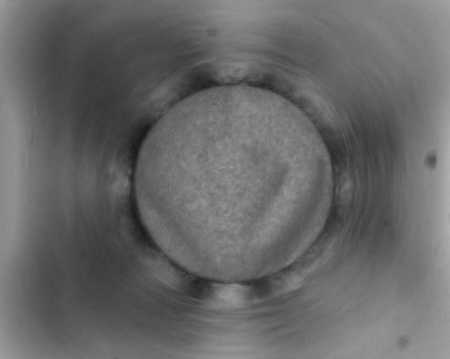 X0000102400226200808151950