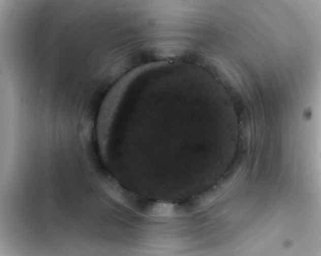 X0000102400227200808151950