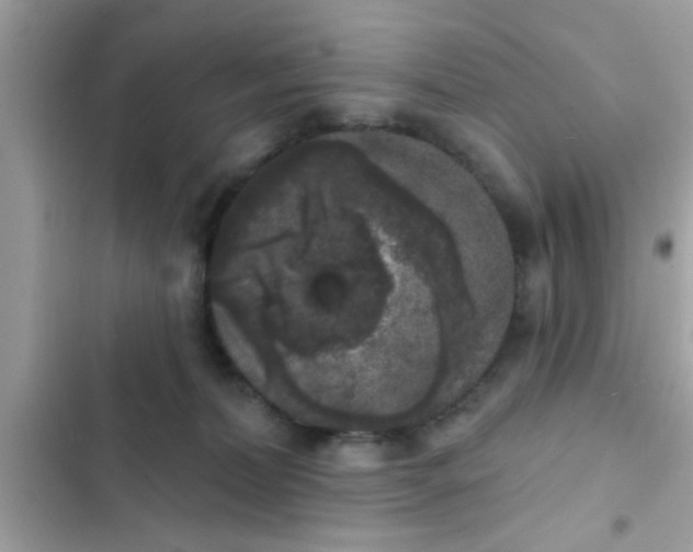 X0000102400228200808151950