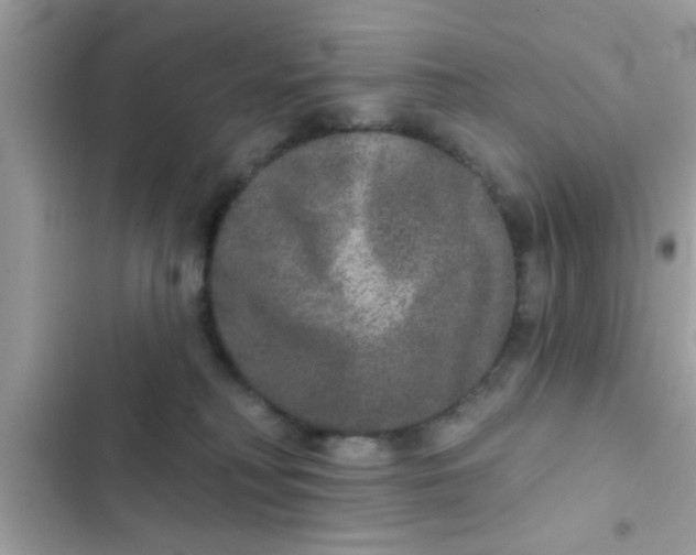 X0000102400230200808151950