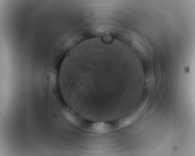 X0000102400231200808151950