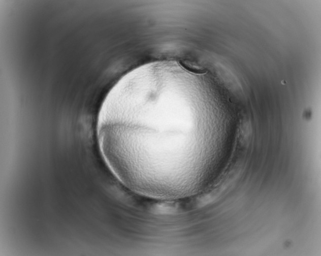 X0000102400232200808151950