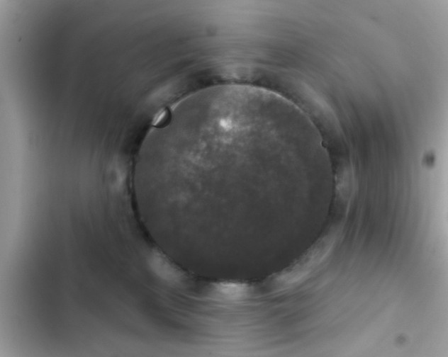 X0000102400233200808151950