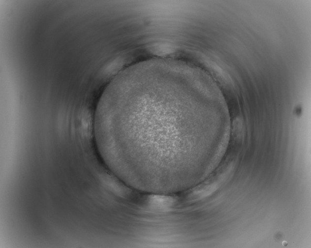 X0000102400234200808151950