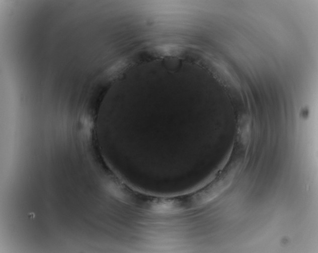 X0000102400235200808151950