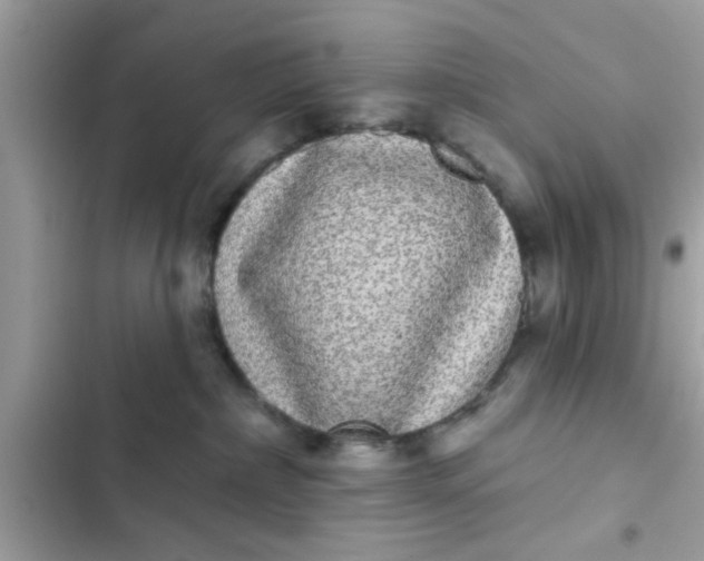 X0000102400236200808151950