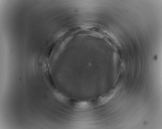 X0000102400237200808151950