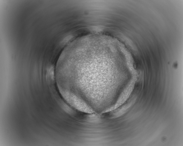 X0000102400238200808151950