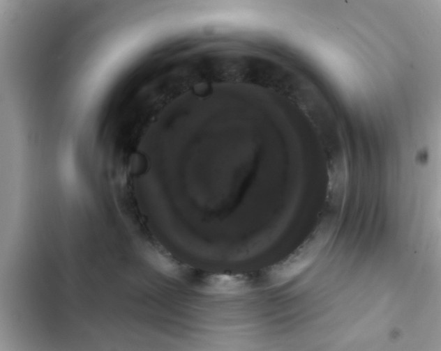 X0000102400239200808151950