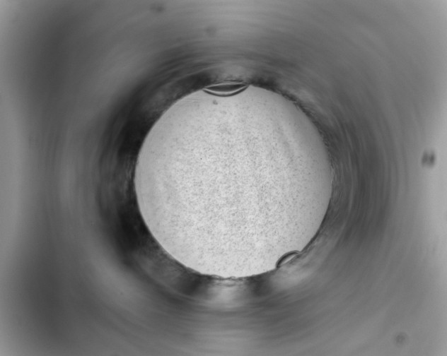 X0000102400240200808151950