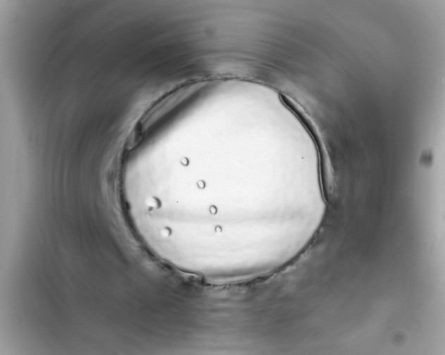 X0000102400241200808151949