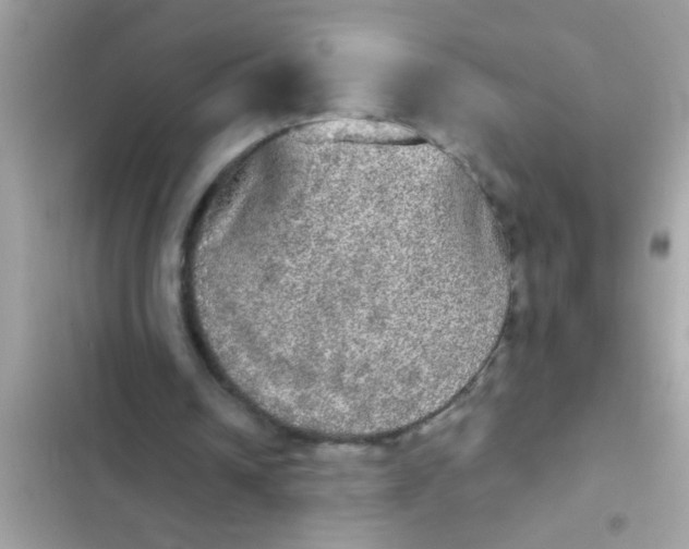 X0000102400242200808151949