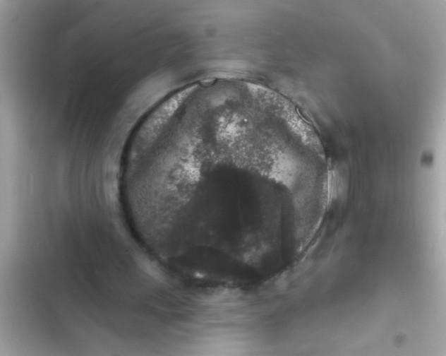 X0000102400243200808151949