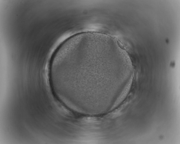 X0000102400244200808151949