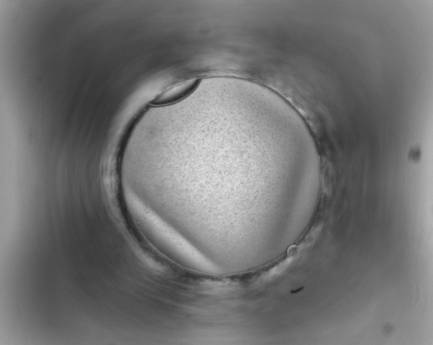 X0000102400245200808151949